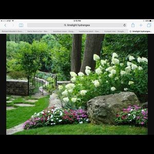 Meet your Posher, Louise